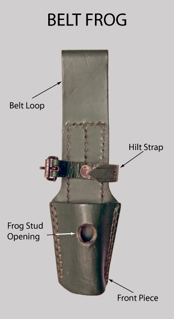 Image showing terms used to describe parts of a belt frog
